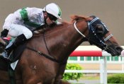 Natural Nice pins his ears back as he lunges forward for jockey Manoel Nunes to post a thrilling win.<br>Photo by Singapore Turf Club